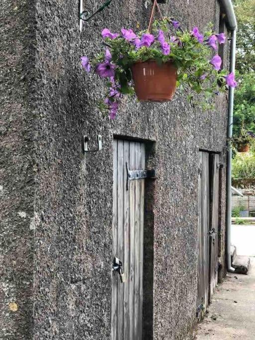 Lucy'S Loft Apartment Cork Exterior photo